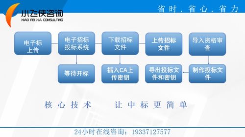 2021江西省標(biāo)書(shū)編寫(xiě)公司選擇指南 全程加密合作與小飛俠標(biāo)書(shū)公司教育咨詢服務(wù)分析