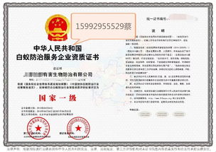 深圳教育咨詢服務(wù) 專業(yè)導航，助力學子與家庭的教育成長之路